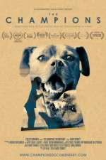 Watch The Champions Gomovies