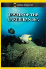 Watch National Geographic Jewels of the Caribbean Sea Gomovies
