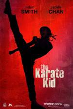 Watch The Karate Kid Gomovies