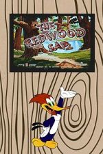Watch The Redwood Sap (Short 1951) Gomovies