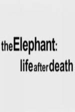 Watch The Elephant - Life After Death Gomovies