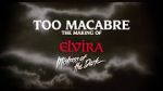 Watch Too Macabre: The Making of Elvira, Mistress of the Dark Gomovies