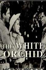 Watch The White Orchid Gomovies