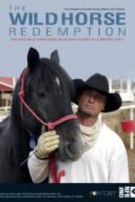 Watch The Wild Horse Redemption Gomovies