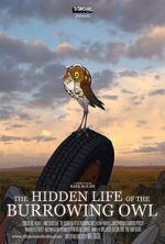 Watch The Hidden Life of the Burrowing Owl (Short 2008) Gomovies