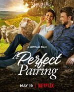 Watch A Perfect Pairing Gomovies