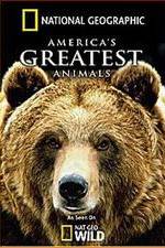 Watch America's Greatest Animals Gomovies