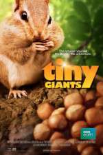 Watch Tiny Giants 3D Gomovies