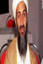 Watch Osama Bin Laden The Finish Gomovies