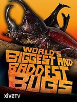 Watch World\'s Biggest and Baddest Bugs Gomovies