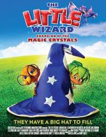 Watch The Little Wizard: Guardian of the Magic Crystals Gomovies