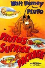 Watch Pluto\'s Surprise Package Gomovies