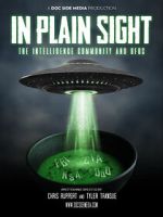 Watch In Plain Sight: The Intelligence Community and UFOs Gomovies