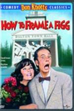 Watch How to Frame a Figg Gomovies