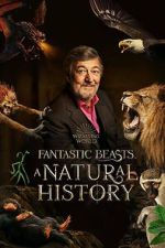 Watch Fantastic Beasts: A Natural History Gomovies