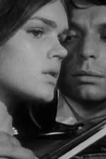 Watch Pavoncello Gomovies