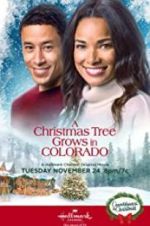 Watch A Christmas Tree Grows in Colorado Gomovies