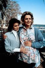 Watch Labor of Love The Arlette Schweitzer Story Gomovies