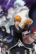 Watch Bleach: The Diamond Dust Rebellion Gomovies