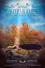 Watch Many Beautiful Things Gomovies
