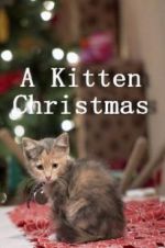 Watch A Kitten Christmas Gomovies