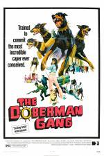 Watch The Doberman Gang Gomovies