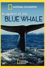 Watch National Geographic Kingdom of Blue Whale Gomovies