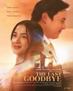 Watch The Last Goodbye Gomovies