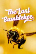 Watch The Last Bumblebee Gomovies