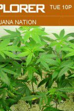 Watch Marijuana Nation Gomovies
