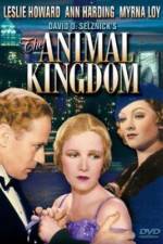 Watch The Animal Kingdom Gomovies