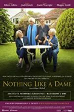 Watch Nothing Like a Dame Gomovies