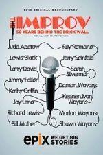 Watch The Improv: 50 Years Behind the Brick Wall (TV Special 2013) Gomovies