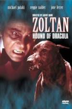 Watch Dracula's Dog Gomovies