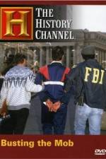 Watch The History Channel: Busting the Mob Gomovies