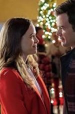 Watch Christmas Joy Gomovies