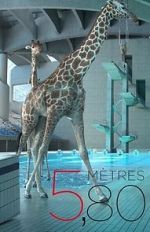 Watch 5,80 mtres Gomovies