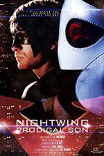 Watch Nightwing Prodigal Son Gomovies