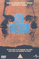 Watch Cry Freedom Gomovies