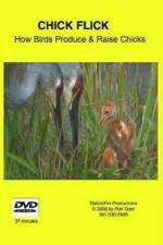Watch Chick Flick How Birds Produce and Raise Chicks Gomovies