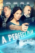Watch A Perfect Plan Gomovies