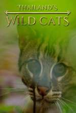 Watch Thailand's Wild Cats Gomovies