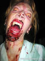 Watch Dracula\'s Sorority Sisters Gomovies