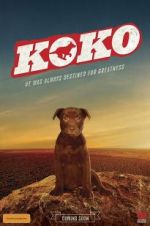 Watch Koko: A Red Dog Story Gomovies