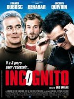 Watch Incognito Gomovies