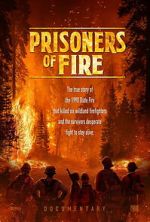 Watch Prisoners of Fire Gomovies