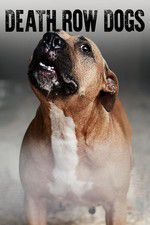Watch Death Row Dogs Gomovies