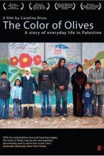 Watch The Color of Olives Gomovies