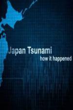 Watch Japan Tsunami: How It Happened Gomovies