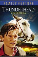 Watch Thunderhead - Son of Flicka Gomovies